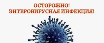 Профилактика энтеровирусной инфекции Профилактика энтеровирусной инфекции.