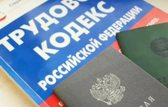 Противодействие нелегальной занятости Противодействие нелегальной занятости.